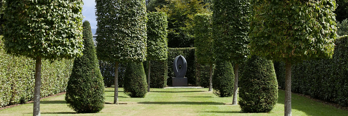 Nicely trimmed trees and bushes surrounded by hedges