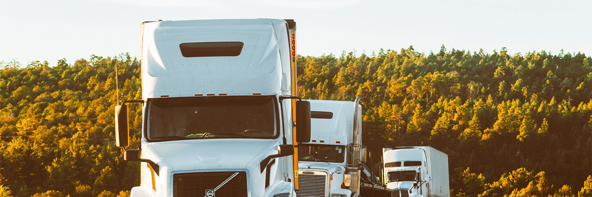 Three trucks. In the background are trees.