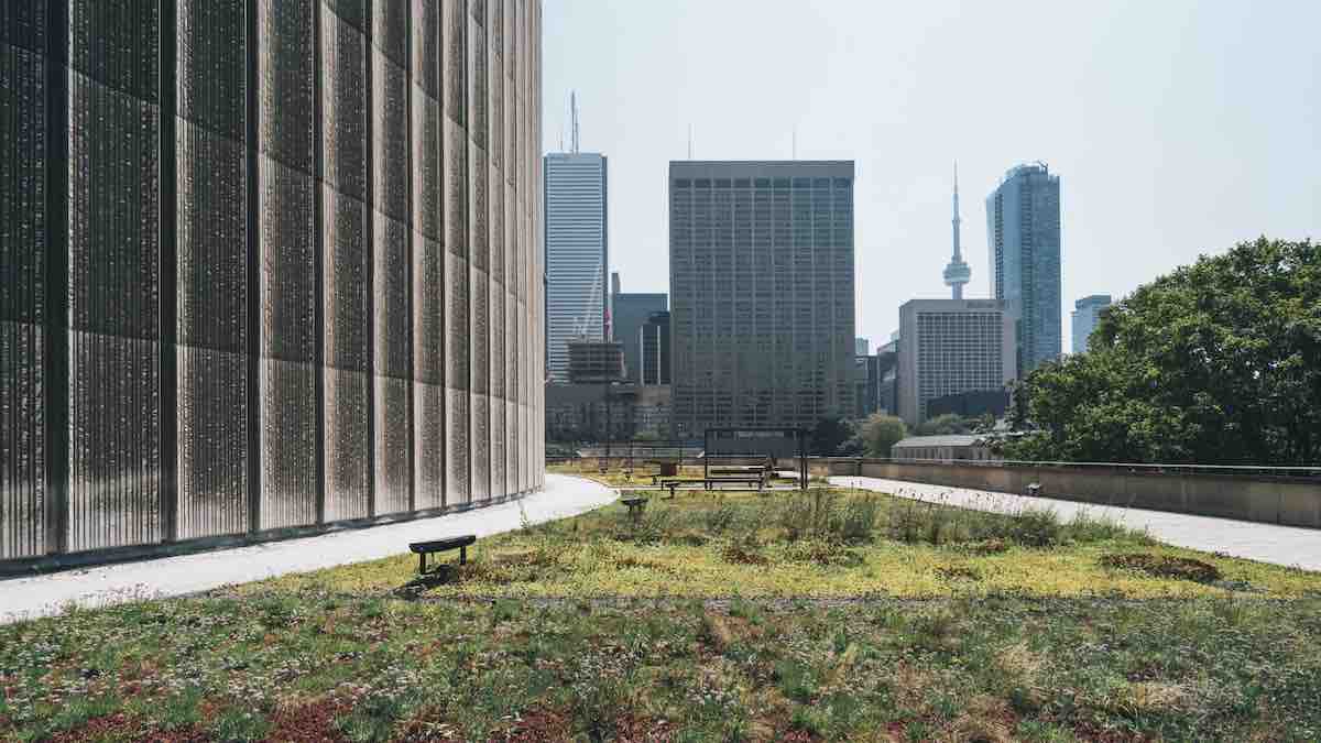 large column on grass with the CN tower in the back