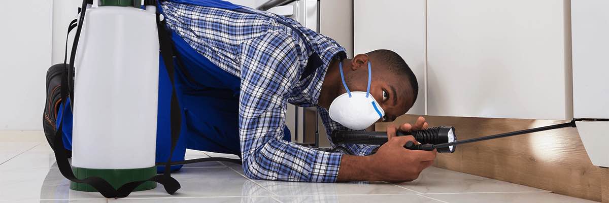 Worker With Mask Kneeling On Floor And Spraying Pesticide