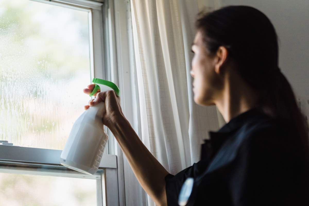 Woman spraying window cleaner on a window