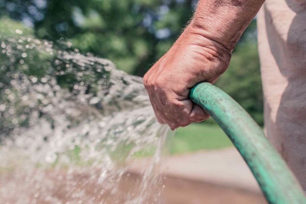 Garden hose spraying water