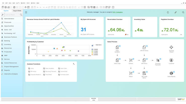 SAP Business One dashboard showing statistics and analytics 
