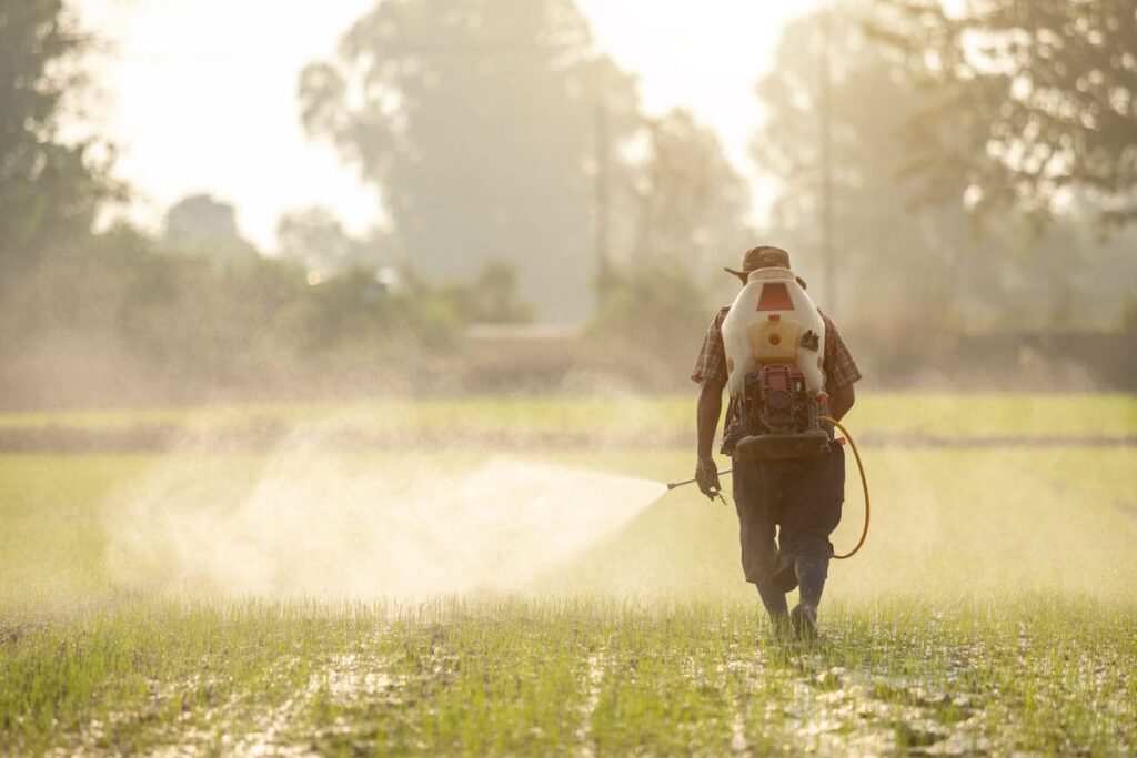 Asian farmer with machine and spraying chemical or fertilizer to