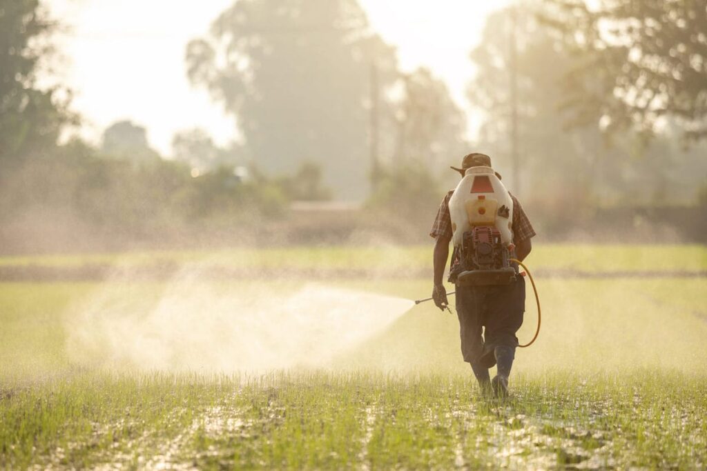 An individual on the field misting